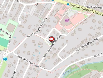 Carte de Cani' Cat Services à Champagnole