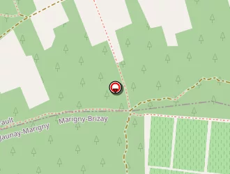 Carte de Ampelidae à Marigny-brizay