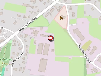 Carte de Capifrance Michelin Didier Mandataire Indépendant à Saint-germain-du-bois