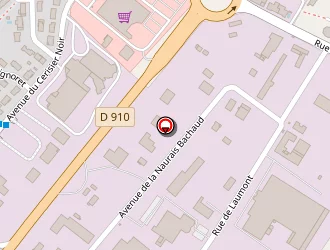 Carte de Tricel à Naintré