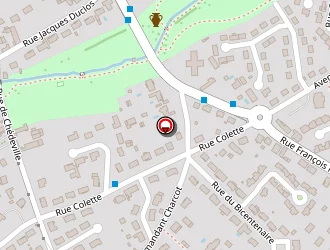 Carte de Drault Antoine à Naintré