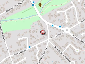 Carte de Patrouillault Alain à Naintré