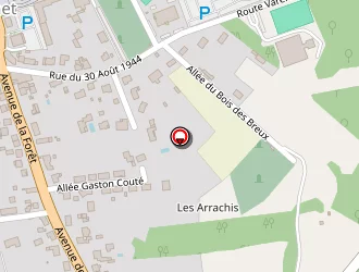 Carte de Pruvot Laurent à Poinçonnet (le)