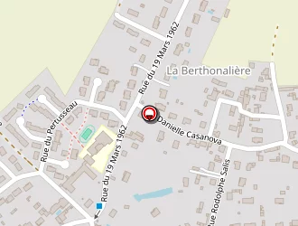 Carte de Schaar Georges à Naintré