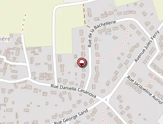 Carte de Berthineau Patrick à Naintré