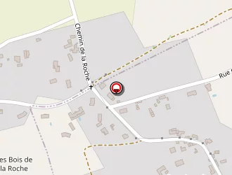 Carte de Techer Bruno à Naintré