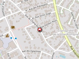 Carte de La Poste à Saint-rémy