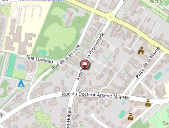 Carte de Chot' Metal à Essarts (les)