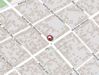 Carte de Eole Informatique à Saint-hilaire-de-riez