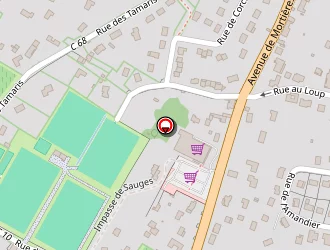 Carte de Complexe Sportif à Givry