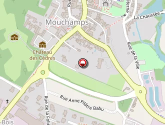 Carte de Fonteneau Christian à Mouchamps