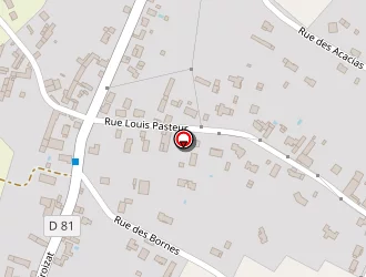 Carte de Couillebault David à Naintré