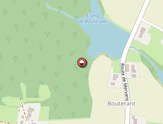 Carte de Coulon Robert à Diconne