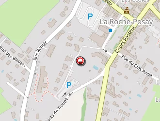 Carte de Blanc Alain à Roche-posay (la)