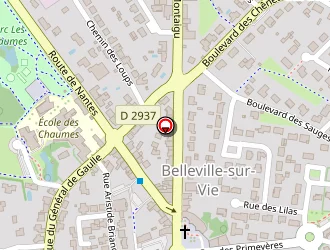 Carte de Idier à Belleville-sur-vie