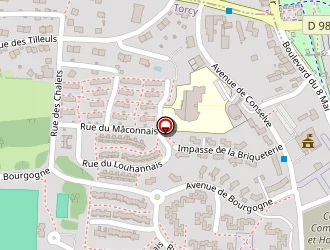 Carte de Mairie à Torcy