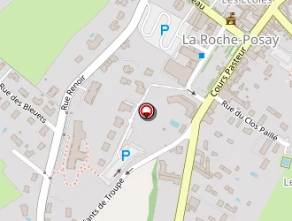 Carte de Restaurant La Vigne à Roche-posay (la)