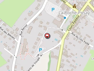 Carte de Sarrazin Patrick à Roche-posay (la)