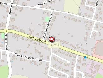 Carte de Bourbon à Yzeures-sur-creuse