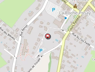 Carte de Moulene Eric à Roche-posay (la)