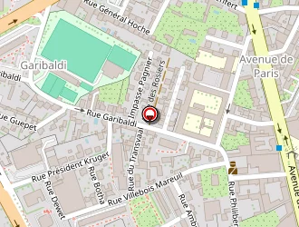 Carte de Bert Corinne à Chalon-sur-saône