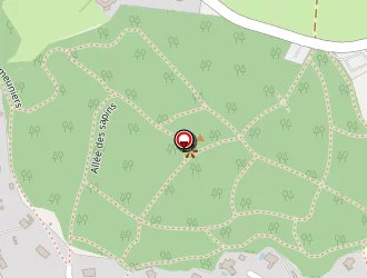 Carte de Ribeiro Armando à Pouzauges