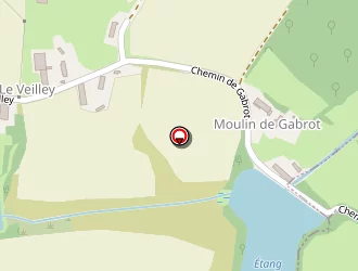 Carte de Loreaux Gilbert à Saint-martin-en-bresse