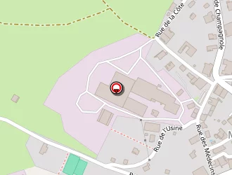 Carte de De Koning Eric à Mignovillard