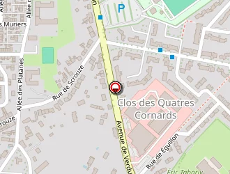 Carte de Baranger Audrey à Châteauroux