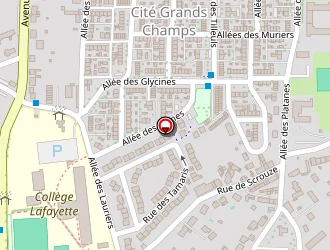 Carte de Conseil Général à Châteauroux