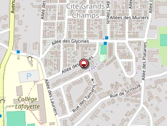 Carte de Tavarès Nicolas à Châteauroux