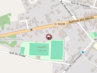 Carte de Bellion à Saint-mesmin