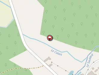 Carte de Caillé Marie à Lencloître