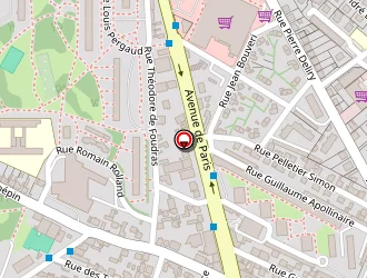 Carte de Compan David à Chalon-sur-saône