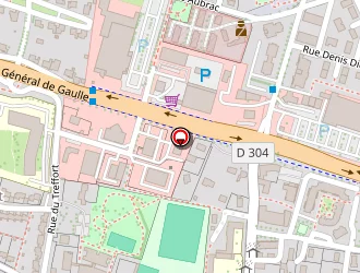 Carte de Centre Communal D'action Sociale (ccas) à Châtenoy-le-royal