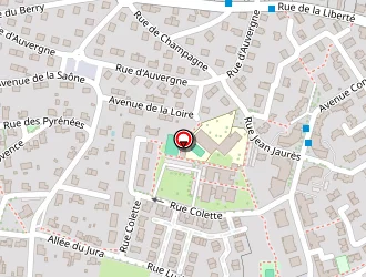 Carte de Carrosanit à Châtenoy-le-royal