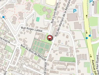 Carte de Fernandes à Chalon-sur-saône