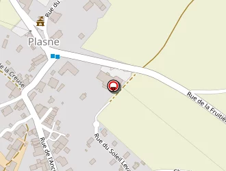 Carte de Picaud Patrice à Plasne