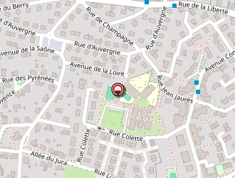 Carte de Ccas à Châtenoy-le-royal