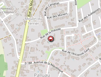 Carte de Ecole Publique Mixte à Palluau