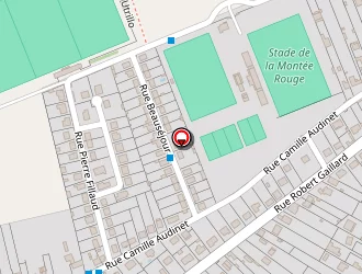 Carte de Dsi Laser Châtellerault à Châtellerault