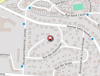 Carte de Peluso Pierre à Creusot (le)