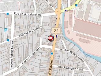 Carte de Renaudeau Fleurs à Châtellerault