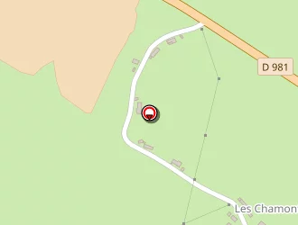 Carte de Lemoine Bernard à Fours