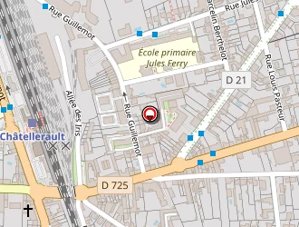 Carte de Espirito Capoeira Brasil à Châtellerault