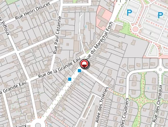 Carte de Manceau Fabien à Châtellerault