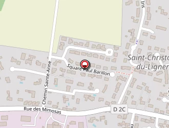 Carte de Billet Daniel à Saint-christophe-du-ligneron