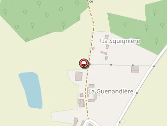 Carte de Du Petit Gue à Martizay