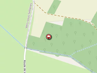 Carte de Samson Erick à Vers-sous-sellières