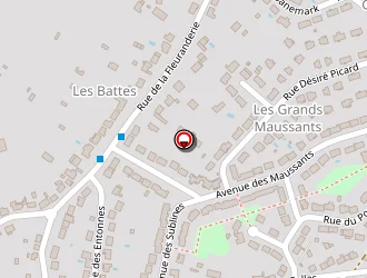 Carte de Magnoux Andy à Déols